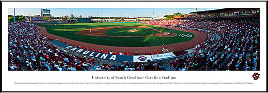 University of South Carolina 13.5'' x 40'' Print