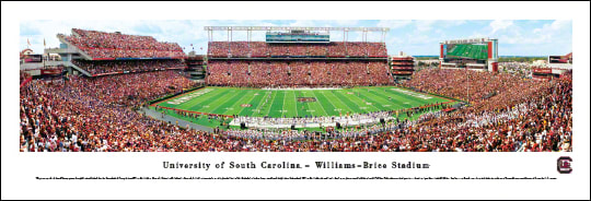University of South Carolina 50 Yard Line 13.5'' x 40'' Print