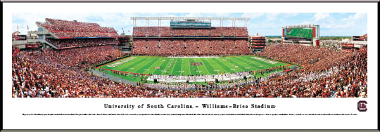 University of South Carolina 50 Yard Line 13.5'' x 40'' Print