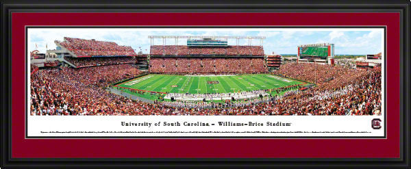 University of South Carolina 13.5'' x 40'' Print