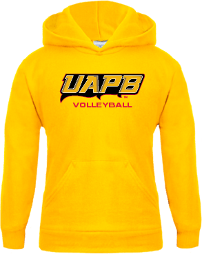 Arkansas Pine Bluff Youth Fleece Hoodie Volleyball - ONLINE ONLY
