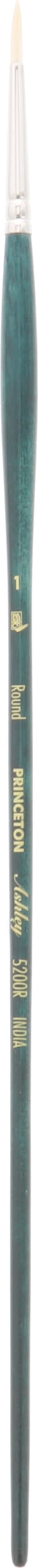 ASHLEY CHINESE BRISTLE BRUSH ROUND 1