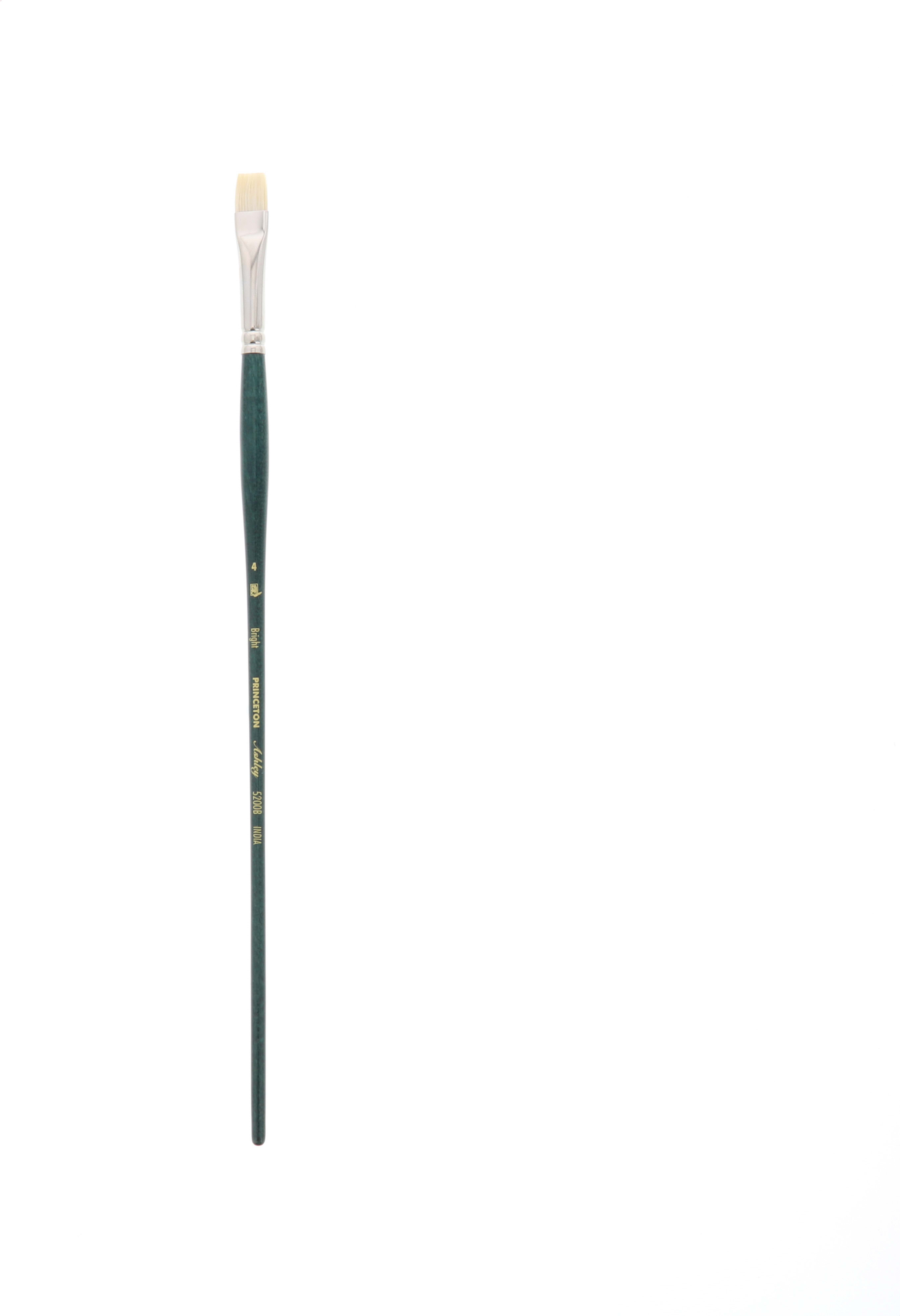 ASHLEY CHINESE BRISTLE BRUSH BRIGHT 4