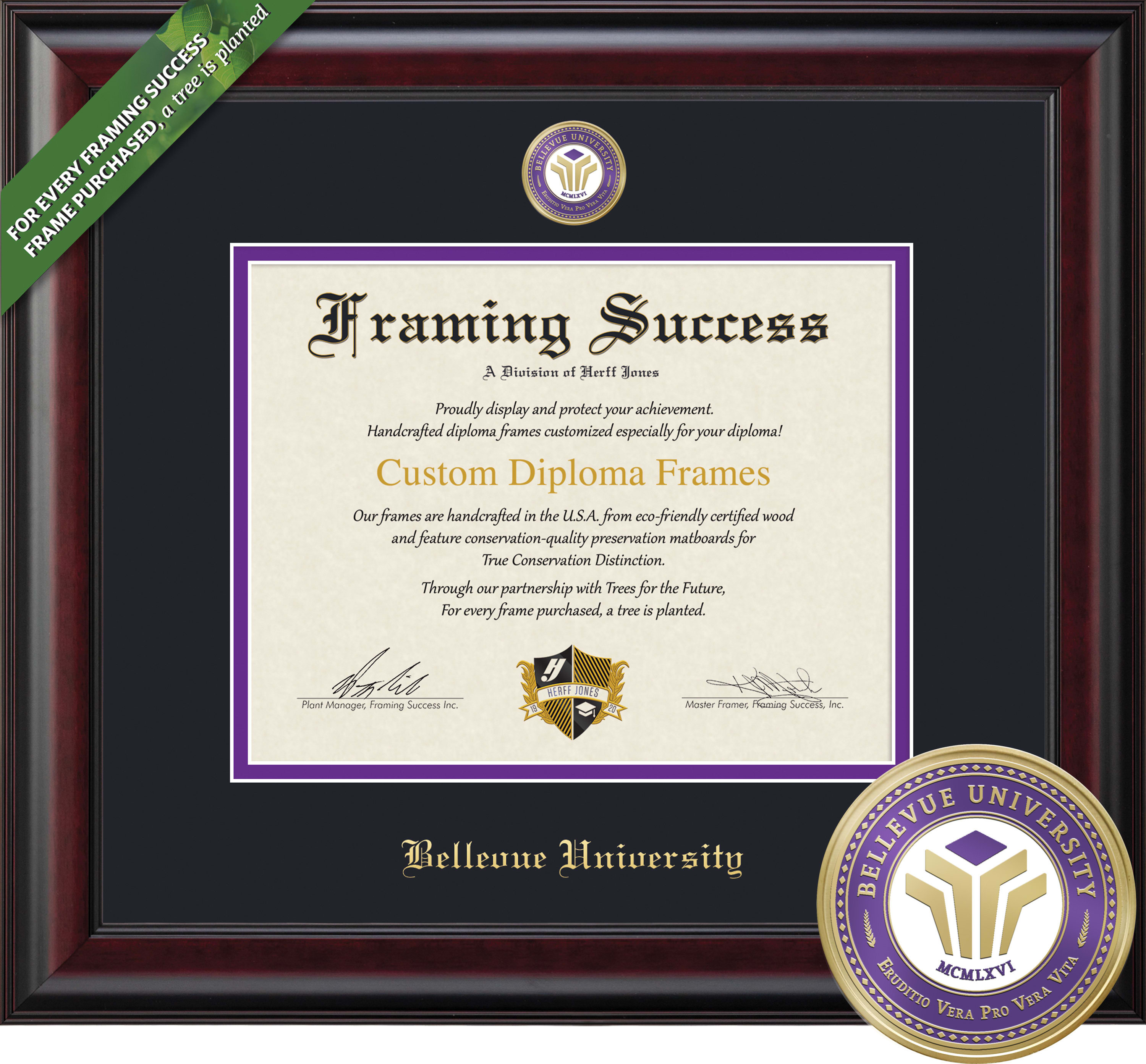 Bellevue University 11'' x 14'' Classic Diploma Frame