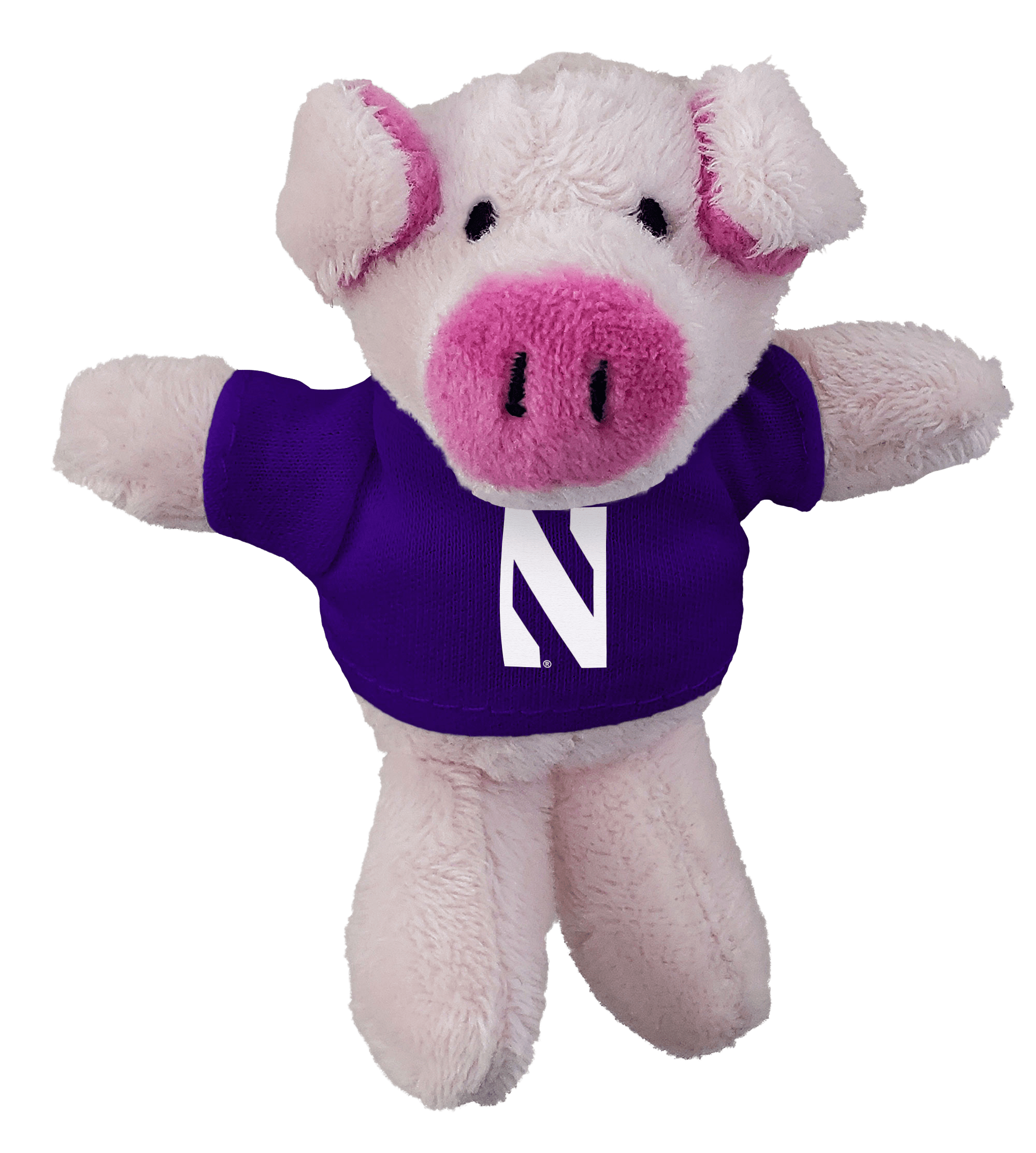 Plush Magnet with Tee