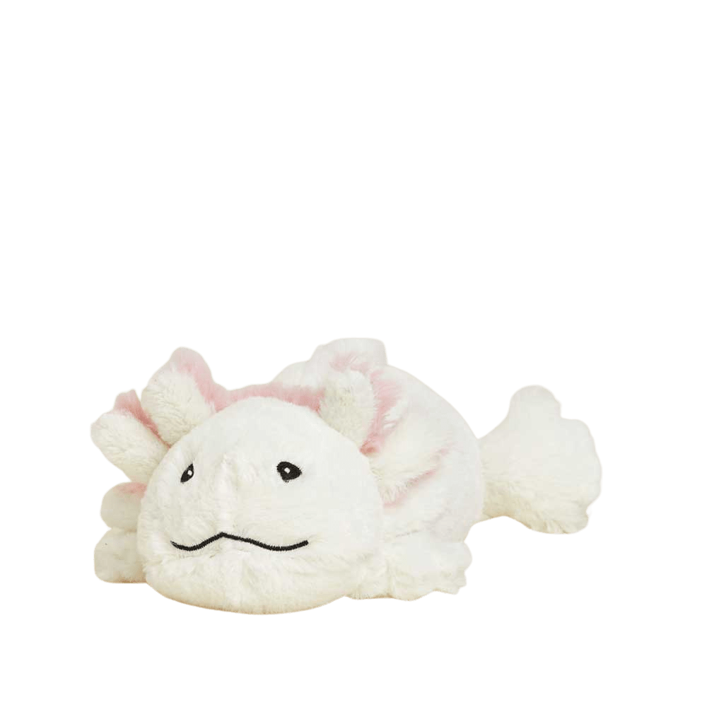 WARMIE JR - AXOLOTI