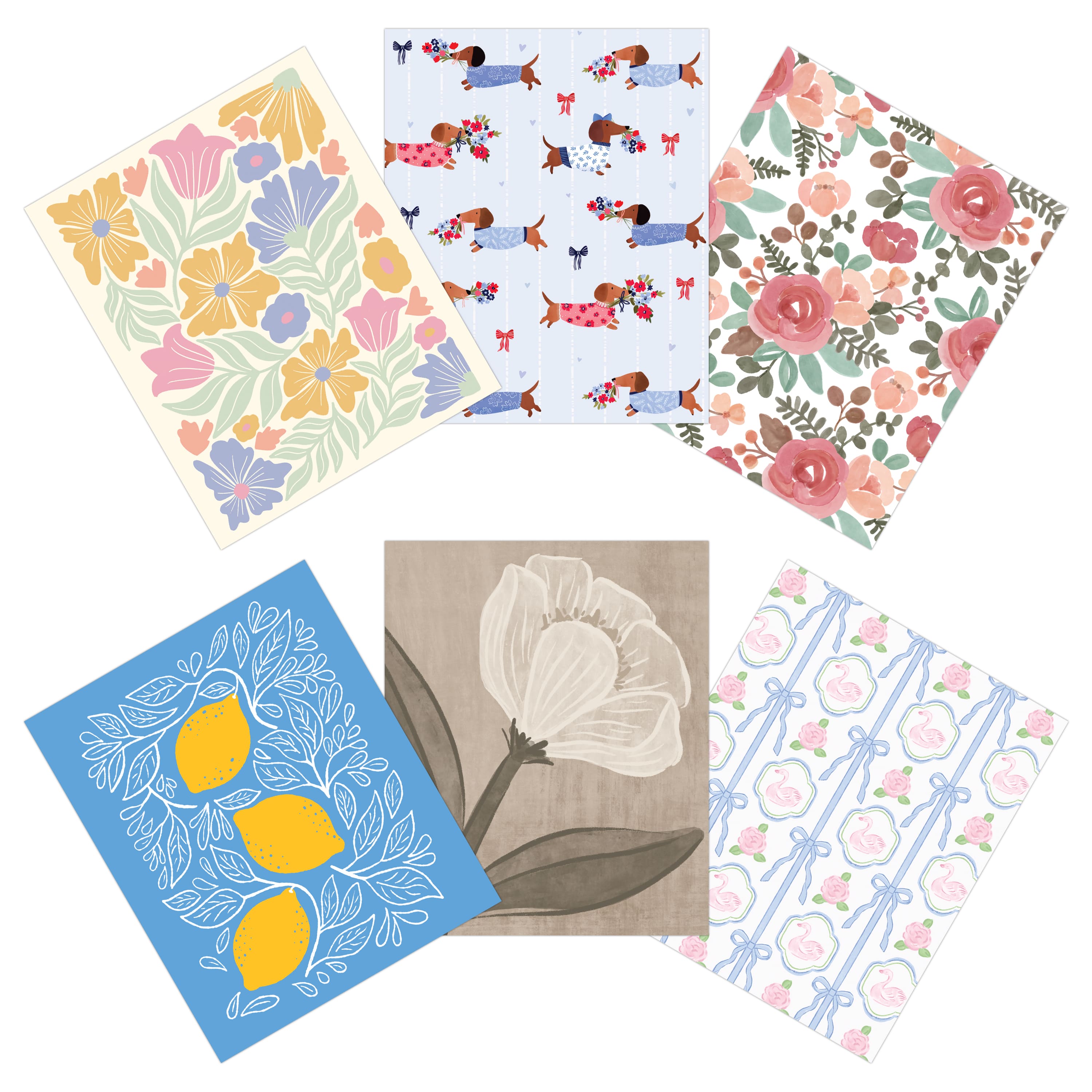STUDIO FOLDER ASST SET 2