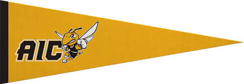 American International College Yellow Jackets 5x15 Pennant