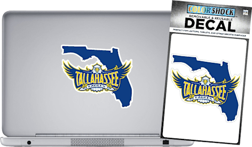 Tallahassee State College Eagles Decal