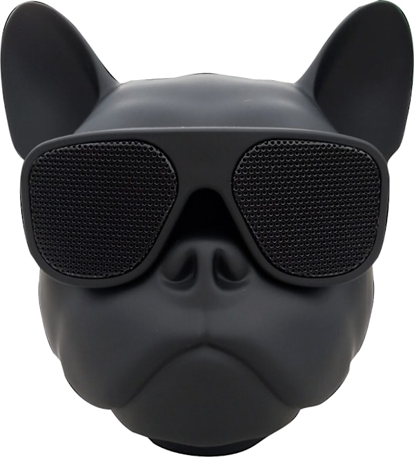Sway Air Fitz Bluetooth Speaker, Black