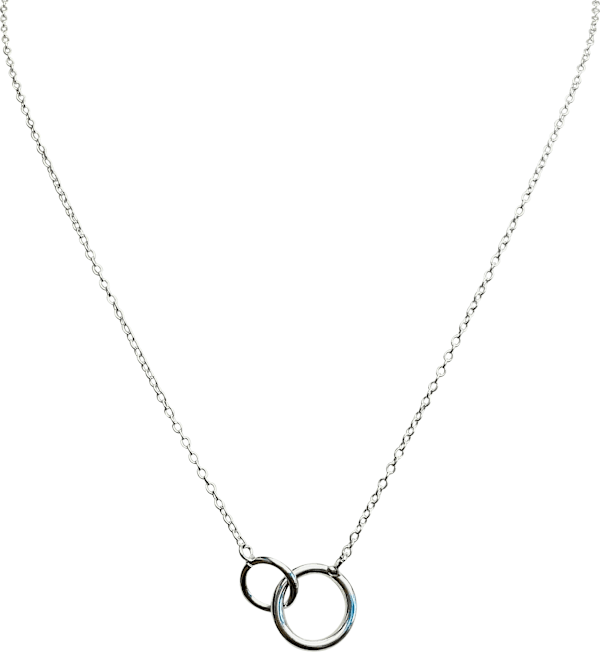 NK SMALL PEDANT DBLCIRCLE SILV
